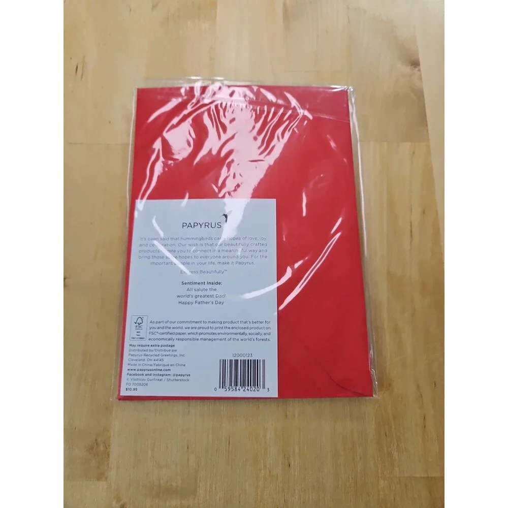 PAPYRUS HAPPY FATHERS DAY CARD DAD IN CHIEF CARD New